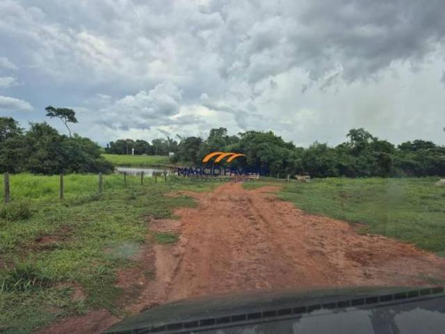 Sítio e chácara venda em Paulo de Faria