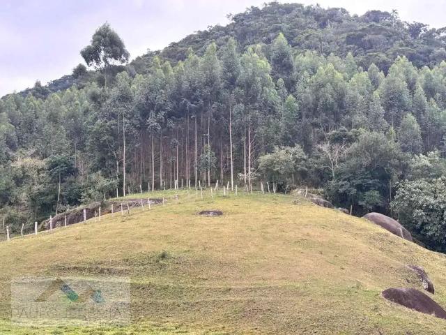 Fazenda venda em Região Geográfica Imediata de Florianópolis, Paulo Lopes