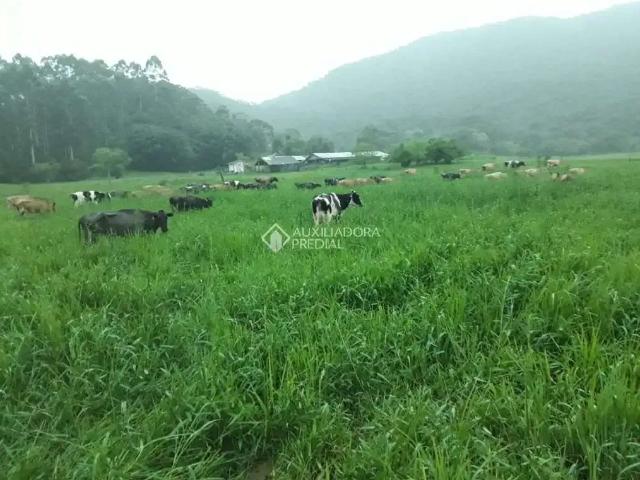 Fazenda venda em Região Geográfica Imediata de Itajaí, Penha