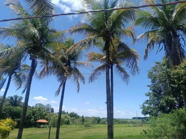 Fazenda venda em Região Imediata de Bauru, Pederneiras