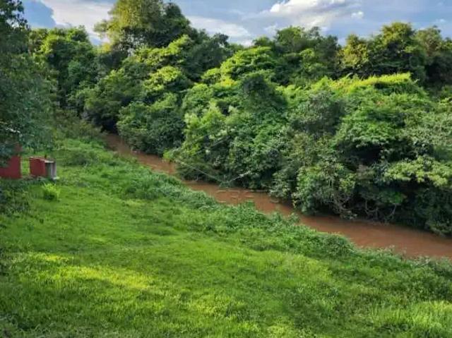 Fazenda venda em Região Imediata de Bauru, Pederneiras