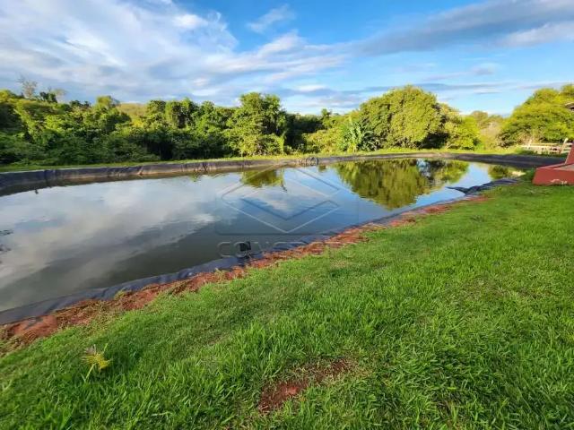 Fazenda venda em Região Imediata de Bauru, Pederneiras