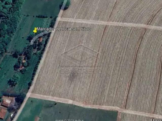 Fazenda venda em Região Imediata de Bauru, Pederneiras