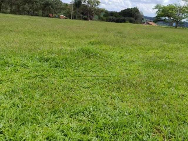 Fazenda venda em Pederneiras
