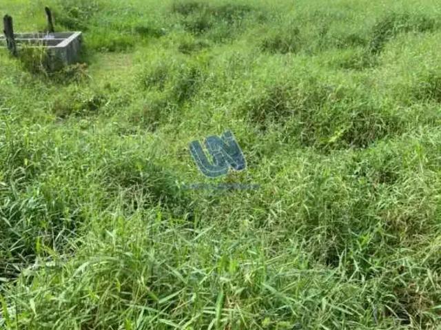 Fazenda venda em Região Geográfica Imediata de Feira de Santana, Região Metropolitana de Feira de Santana