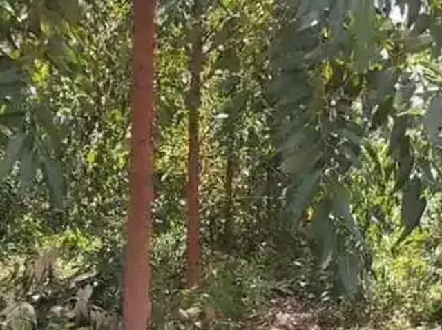 Fazenda venda em Pedra Azul, Região Sudeste