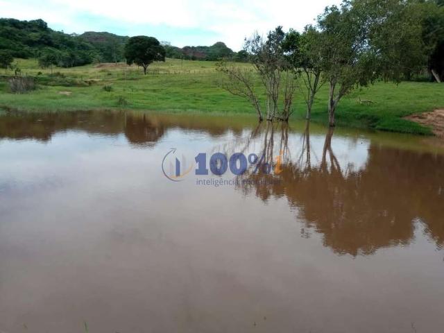 Fazenda venda em Região Geográfica Imediata de Rondonópolis, Pedra Preta