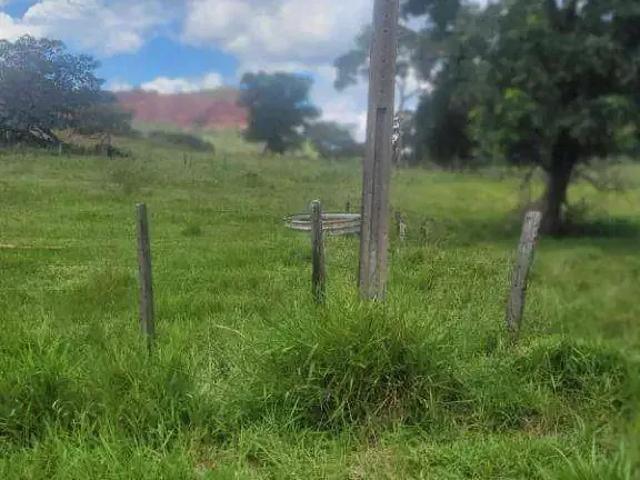 Fazenda venda em Região Geográfica Imediata de Rondonópolis, Pedra Preta
