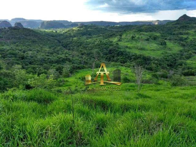 Fazenda venda em Região Geográfica Imediata de Rondonópolis, Pedra Preta