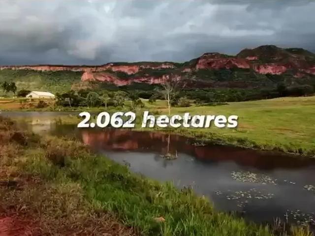 Fazenda venda em Região Geográfica Imediata de Rondonópolis, Pedra Preta