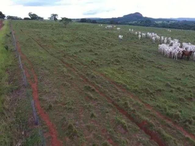 Fazenda venda em Região Geográfica Imediata de Rondonópolis, Pedra Preta