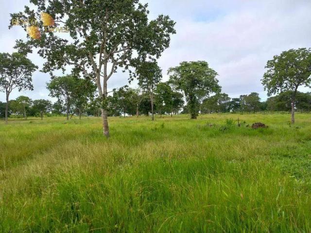 Fazenda venda em Região Geográfica Imediata de Rondonópolis, Pedra Preta