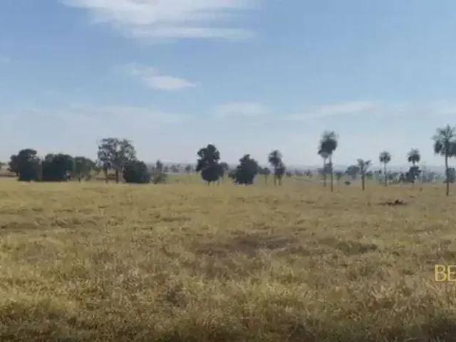Fazenda venda em Região Geográfica Imediata de Rondonópolis, Pedra Preta