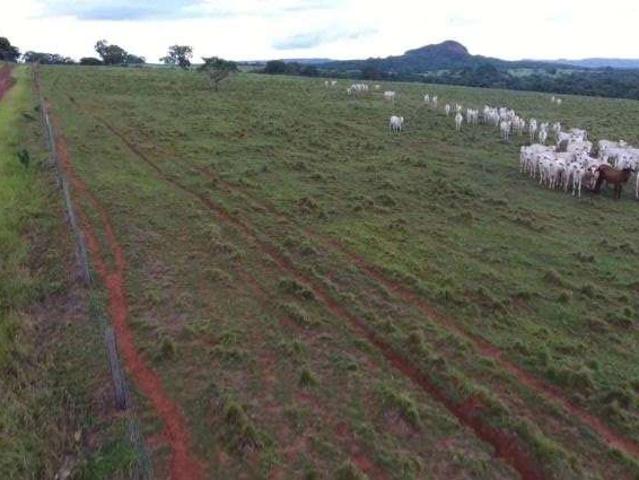 Fazenda venda em Pedra Preta, Região Geográfica Intermediária de Rondonópolis