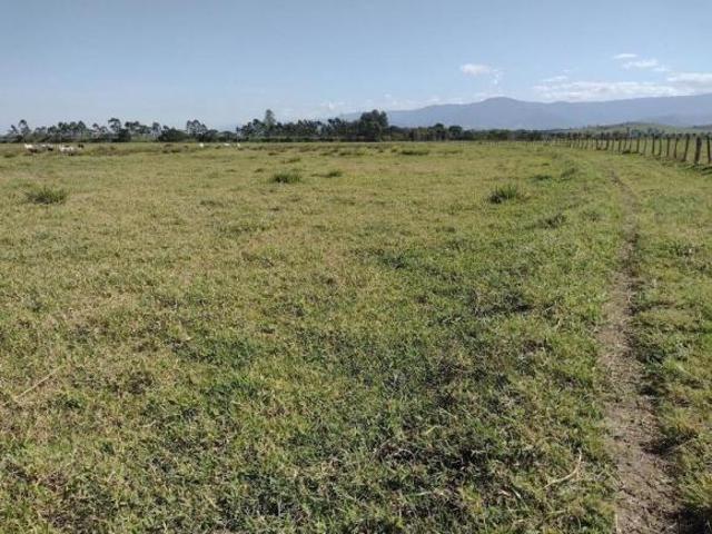 Sítio e chácara venda em Região Imediata de Guaratinguetá, Região Metropolitana do Vale do Paraíba e Litoral Norte