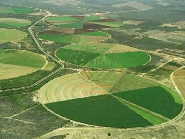 Fazenda venda em Região Geográfica Imediata de Guaraí, Pedro Afonso