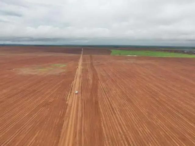 Fazenda venda em Região Geográfica Imediata de Guaraí, Pedro Afonso