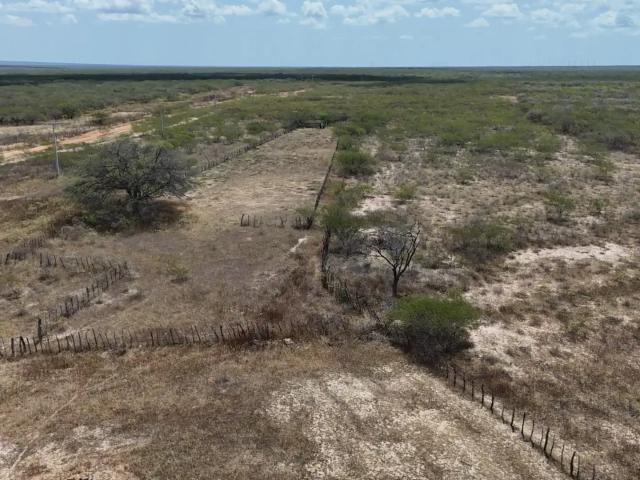 Fazenda venda em Pedro Avelino, Região Nordeste