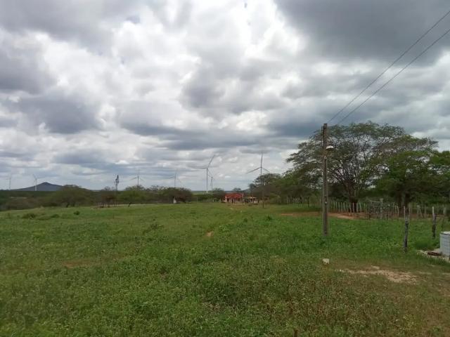 Fazenda venda em Pedro Avelino, Região Nordeste
