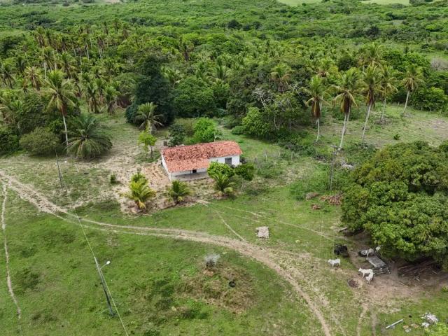 Fazenda venda em Região Geográfica Imediata de Canguaretama, Pedro Velho