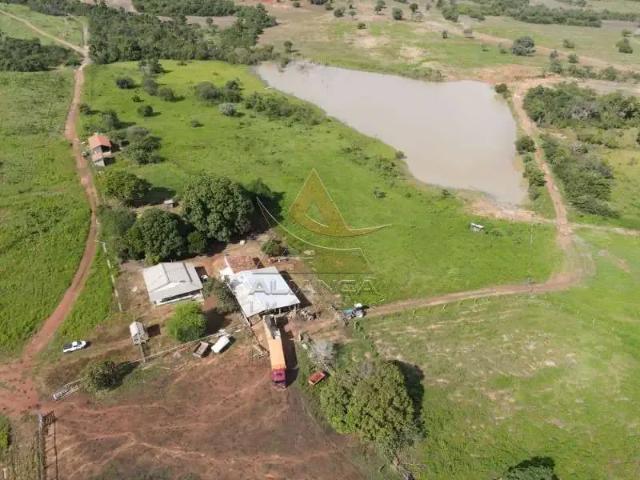 Fazenda venda em Região Geográfica Imediata de Gurupi, Peixe
