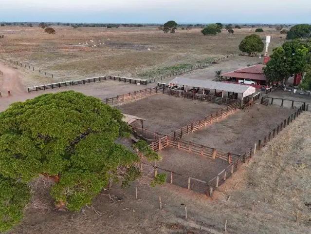 Fazenda venda em Região Geográfica Imediata de Gurupi, Peixe