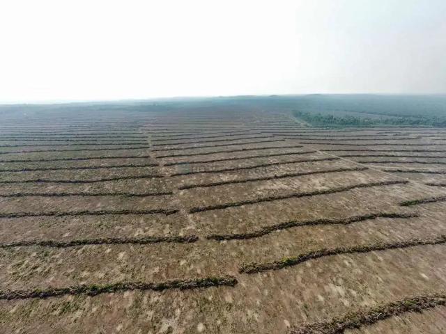 Fazenda venda em Região Geográfica Imediata de Peixoto de Azevedo - Guarantã do Norte, Peixoto de Azevedo