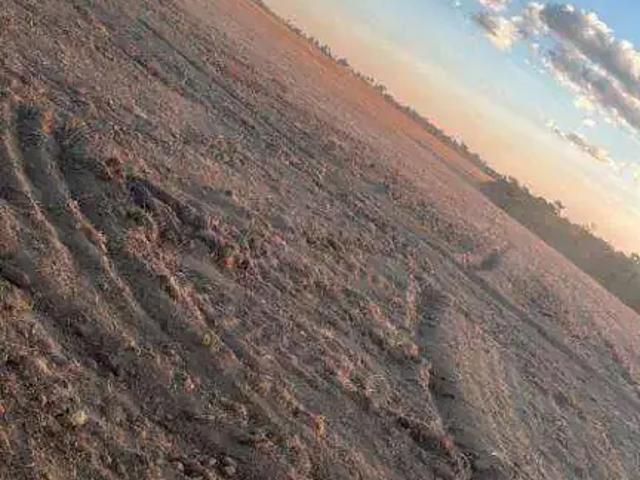Fazenda venda em Região Geográfica Imediata de Peixoto de Azevedo - Guarantã do Norte, Peixoto de Azevedo