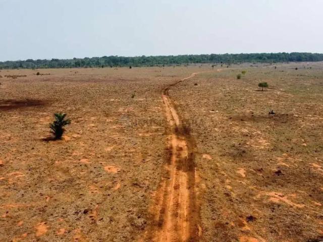 Fazenda venda em Região Geográfica Imediata de Peixoto de Azevedo - Guarantã do Norte, Peixoto de Azevedo