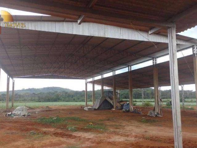Fazenda venda em Peixoto de Azevedo, Região Geográfica Intermediária de Sinop