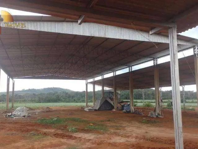 Fazenda venda em Região Geográfica Imediata de Peixoto de Azevedo - Guarantã do Norte, Peixoto de Azevedo