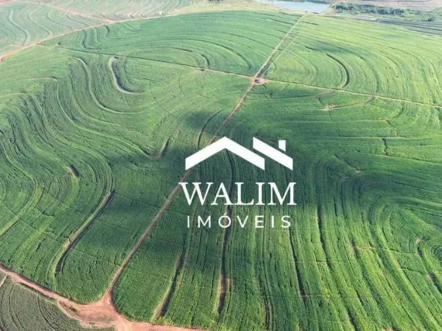Fazenda venda em Região Imediata de Birigui-Penápolis, Penápolis