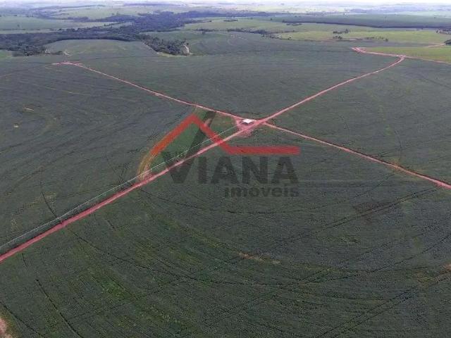 Fazenda venda em Penápolis, Região Geográfica Intermediária de Araçatuba