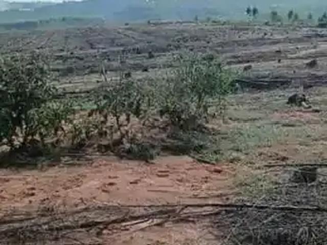 Fazenda venda em Região Geográfica Imediata de Lavras, Perdões