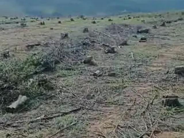 Fazenda venda em Região Geográfica Imediata de Lavras, Perdões