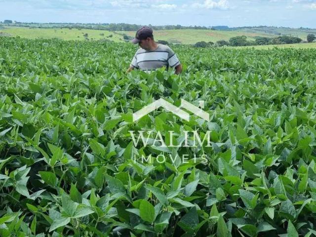 Fazenda venda em Região Geográfica Imediata de Lavras, Perdões