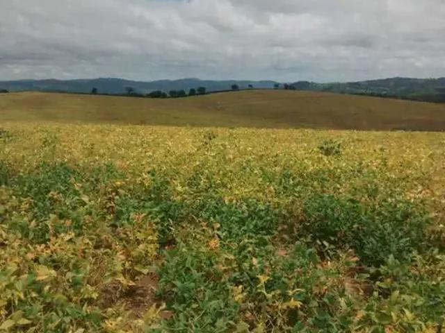 Fazenda venda em Região Geográfica Imediata de Lavras, Perdões