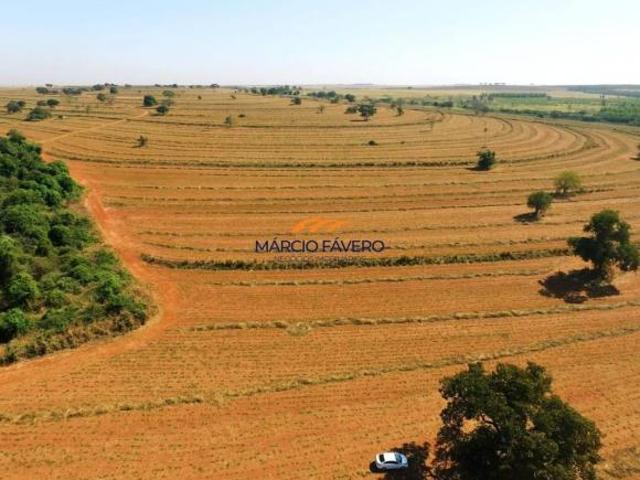 Sítio e chácara venda em Pereira Barreto