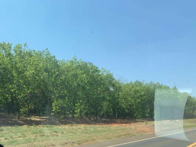 Fazenda venda em Região Imediata de Andradina, Pereira Barreto