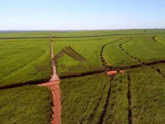 Fazenda venda em Região Imediata de Andradina, Pereira Barreto