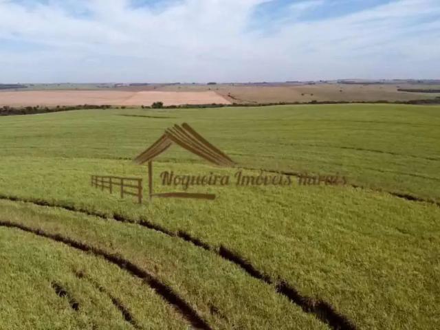 Fazenda venda em Região Imediata de Andradina, Pereira Barreto