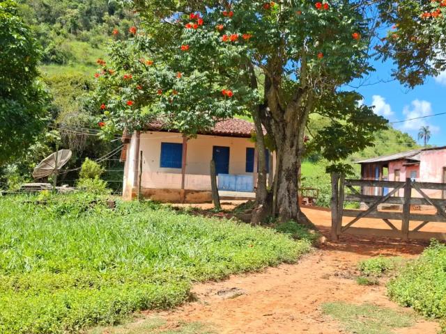 Fazenda venda em Região Geográfica Imediata de Teófilo Otoni, Pescador