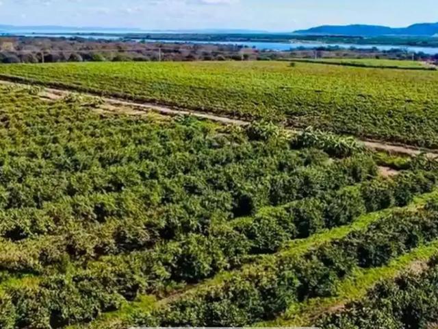 Fazenda venda em Região Geográfica Imediata de Petrolina, Região Administrativa Integrada de Desenvolvimento do Polo Petrolina e Juazeiro