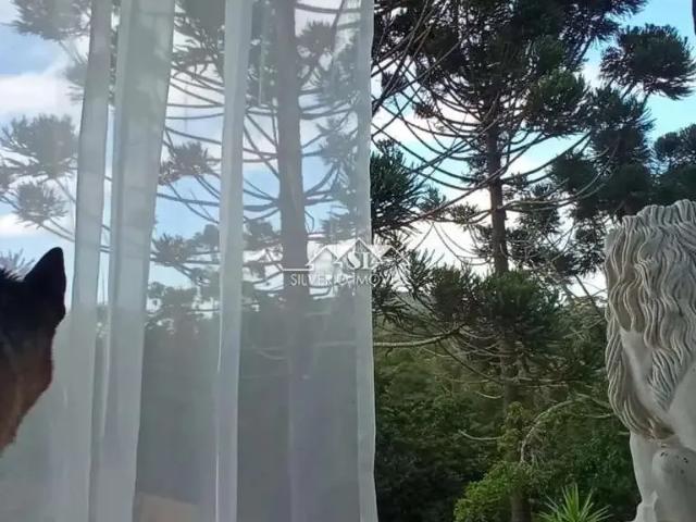 Fazenda venda em Região Geográfica Imediata de Petrópolis, Região Metropolitana do Rio de Janeiro
