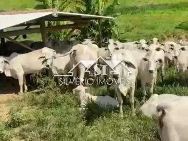 Fazenda venda em Região Geográfica Imediata de Petrópolis, Região Metropolitana do Rio de Janeiro