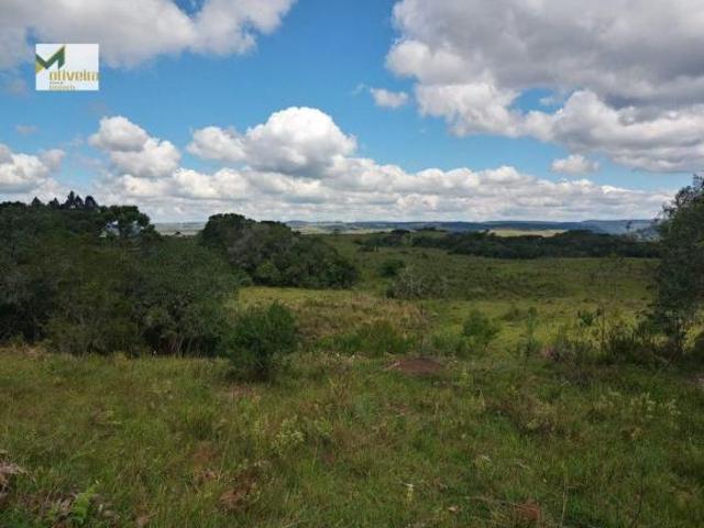 Sítio e chácara venda em Região Geográfica Imediata de Vacaria, Jaquirana