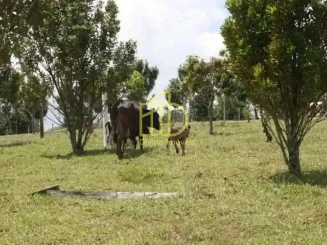 Fazenda venda em Região Imediata de Sorocaba, Região Metropolitana de Sorocaba
