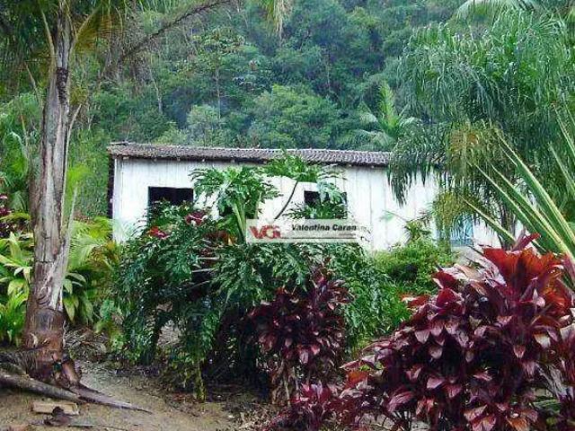 Fazenda venda em Região Imediata de Itapeva, Itapeva