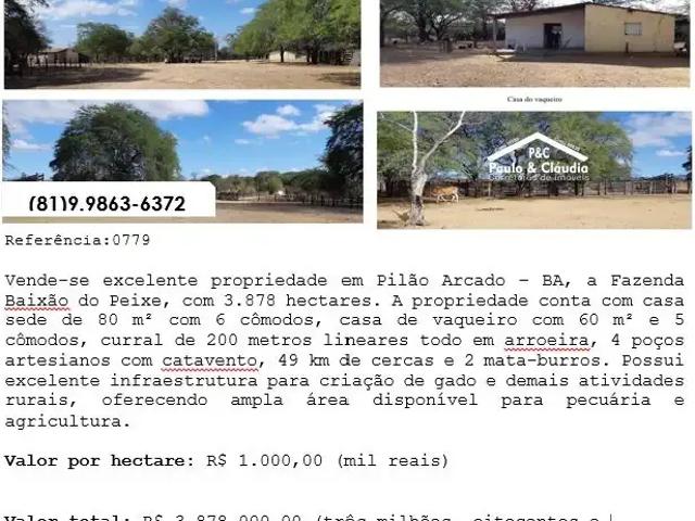 Fazenda venda em Região Geográfica Imediata de Juazeiro, Pilão Arcado