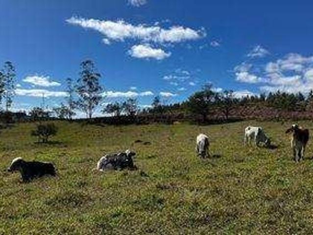 Fazenda venda em Região Geográfica Imediata de Campo Grande, Campo Grande